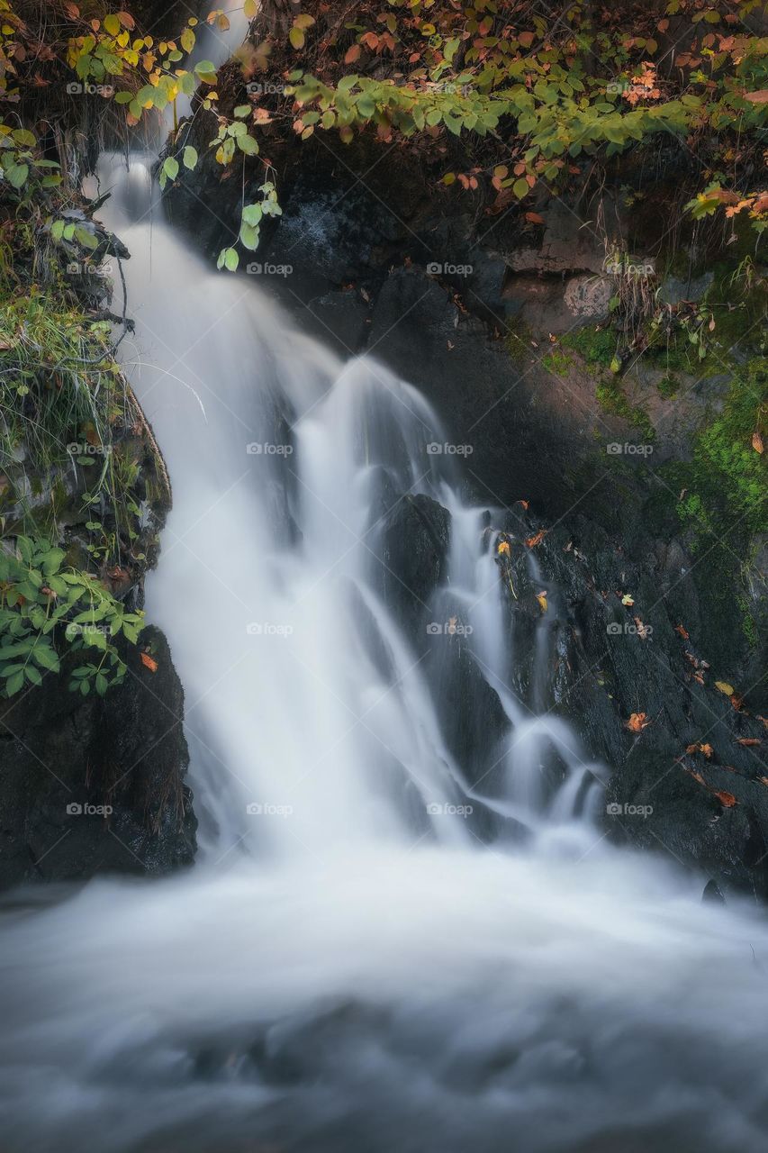 Scenic view of waterfall in forest during autumn season 