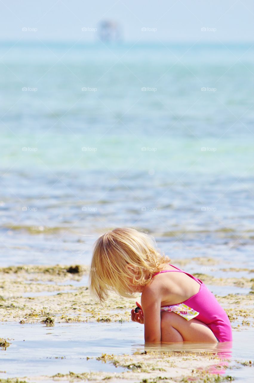 Discovering things at the beach during low tide