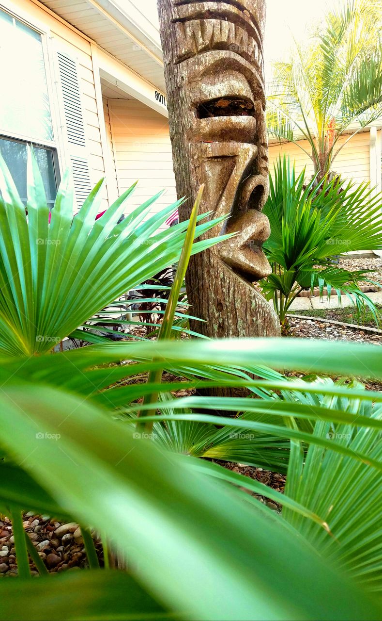 Tiki man, palm trees, outdoors,sun