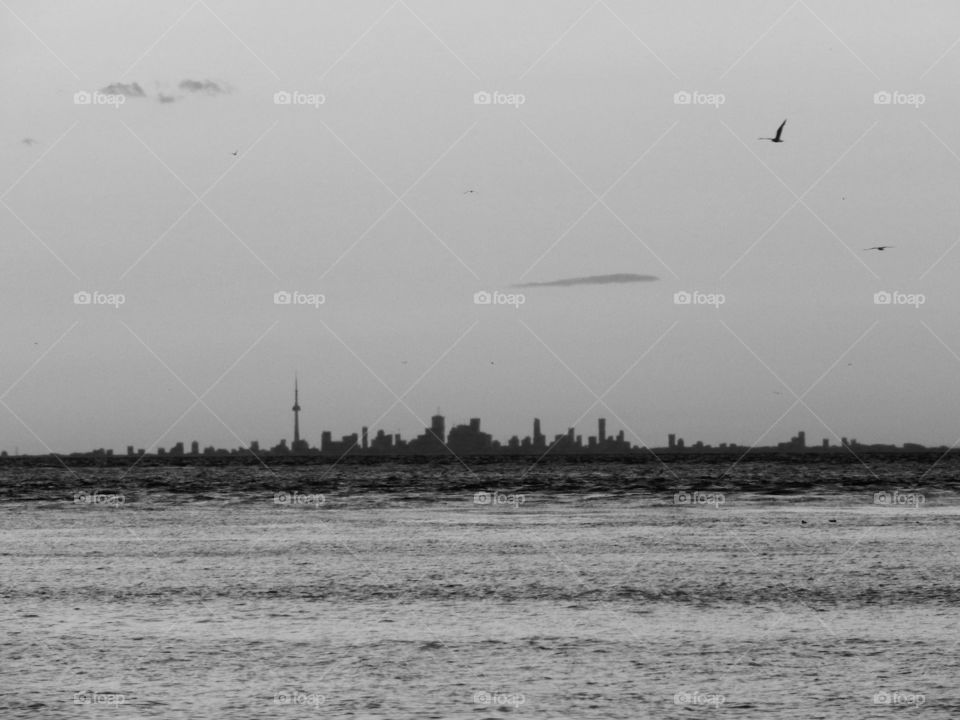 Toronto in black and white 