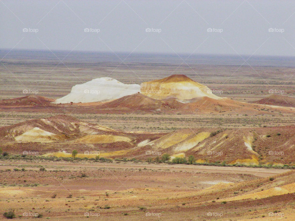 Two dogs a remarkable pair of hills one white