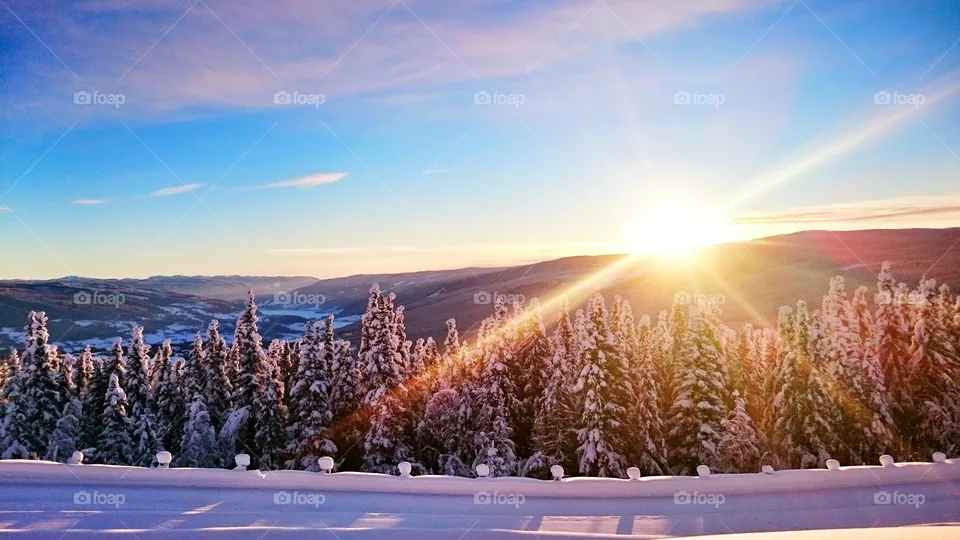 Winter