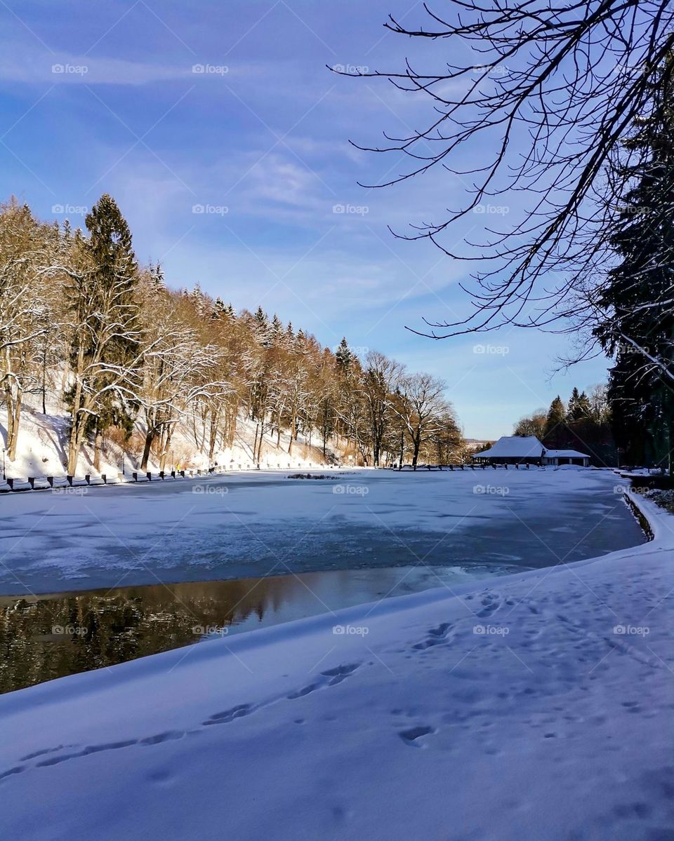 pond in winter scenery