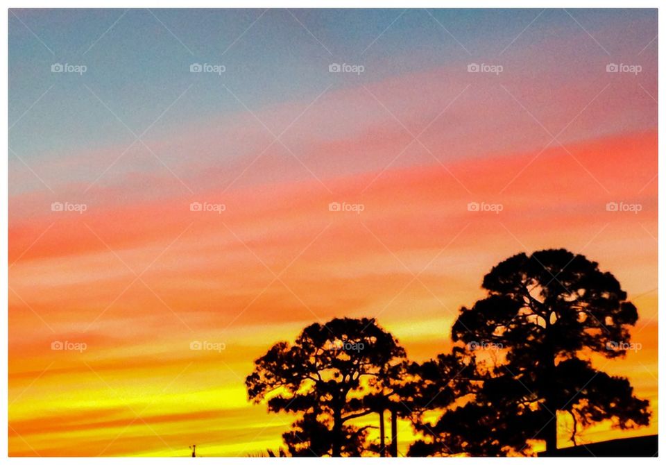 Sunset in Florida #4