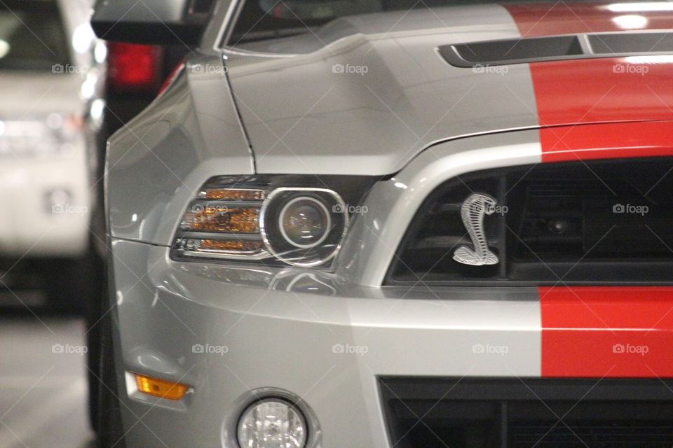 Mustang Cobra, the name says it all!