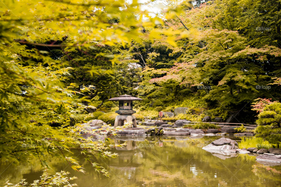 Japanese style, silence, pond, trees, yellow, stones, autumn,fall