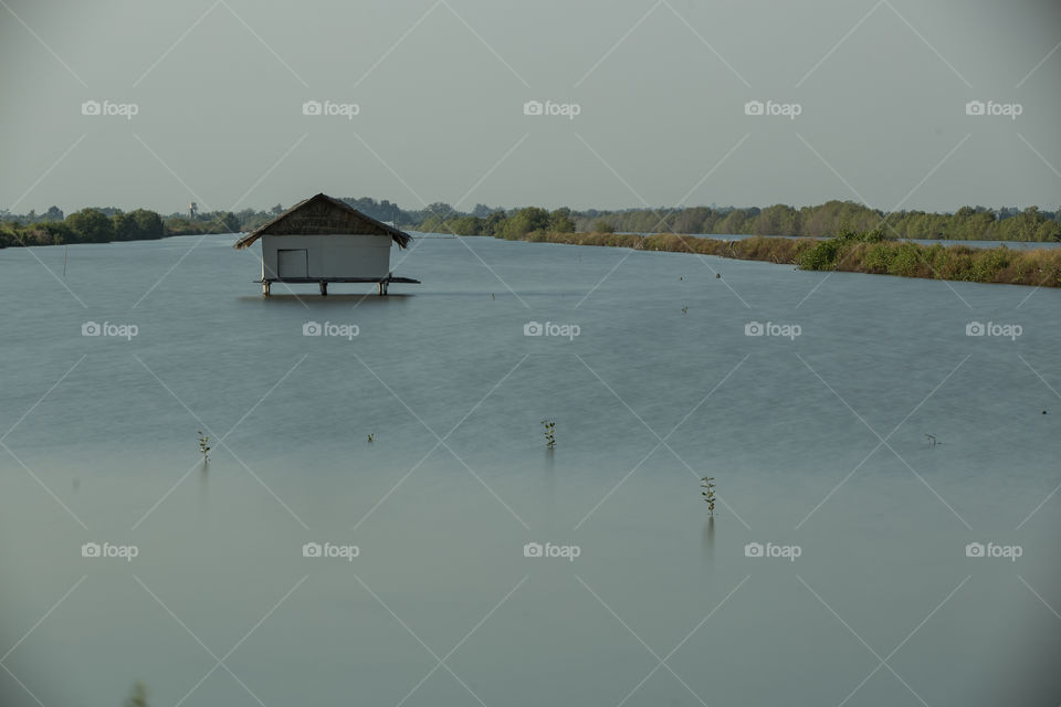 House in the pond