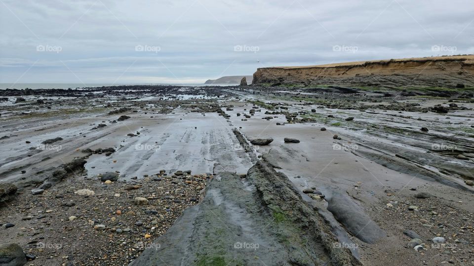 Under some cliffs, the low tide of the sea reveals the rocks that are hidden on its coast.  A condor flying the cloudy sky