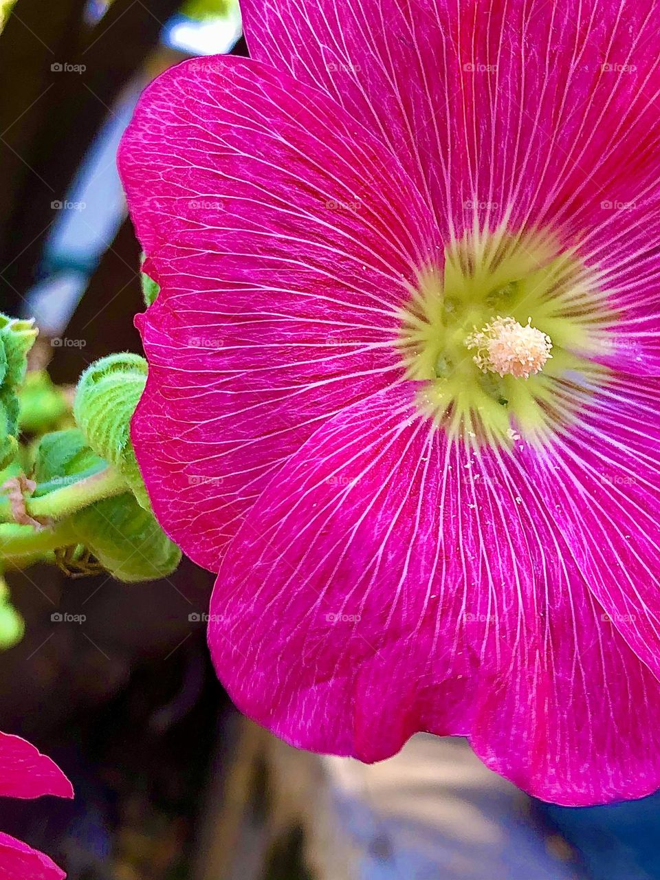 Upload first photo of the month