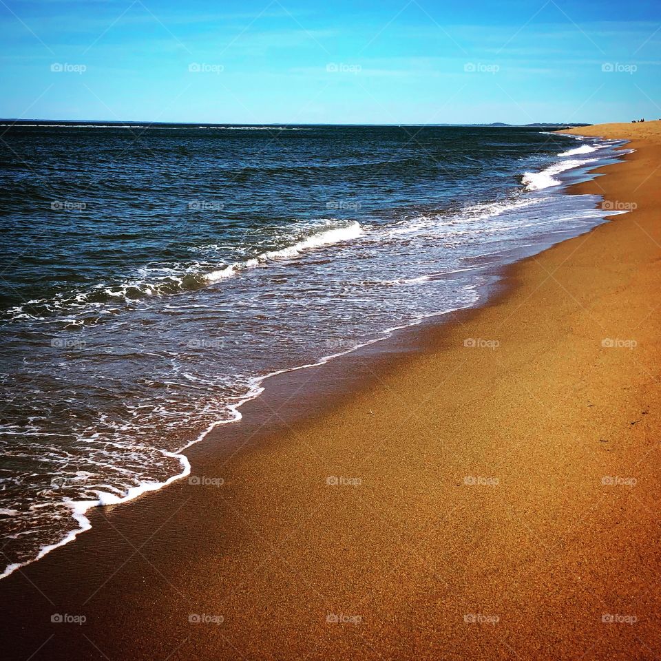 Plum Island Beach