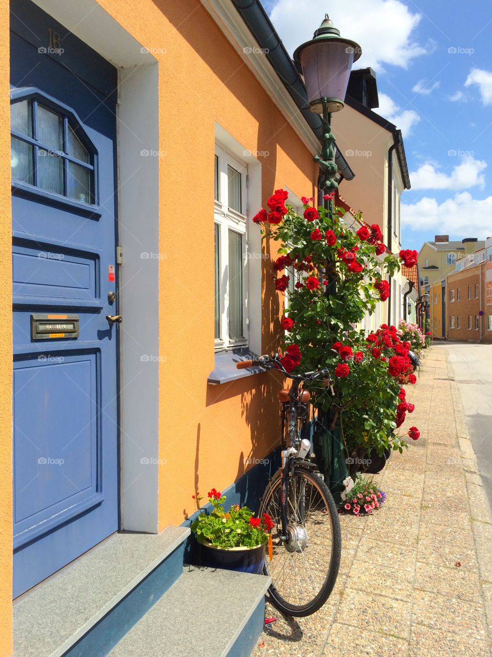 Urban gardening