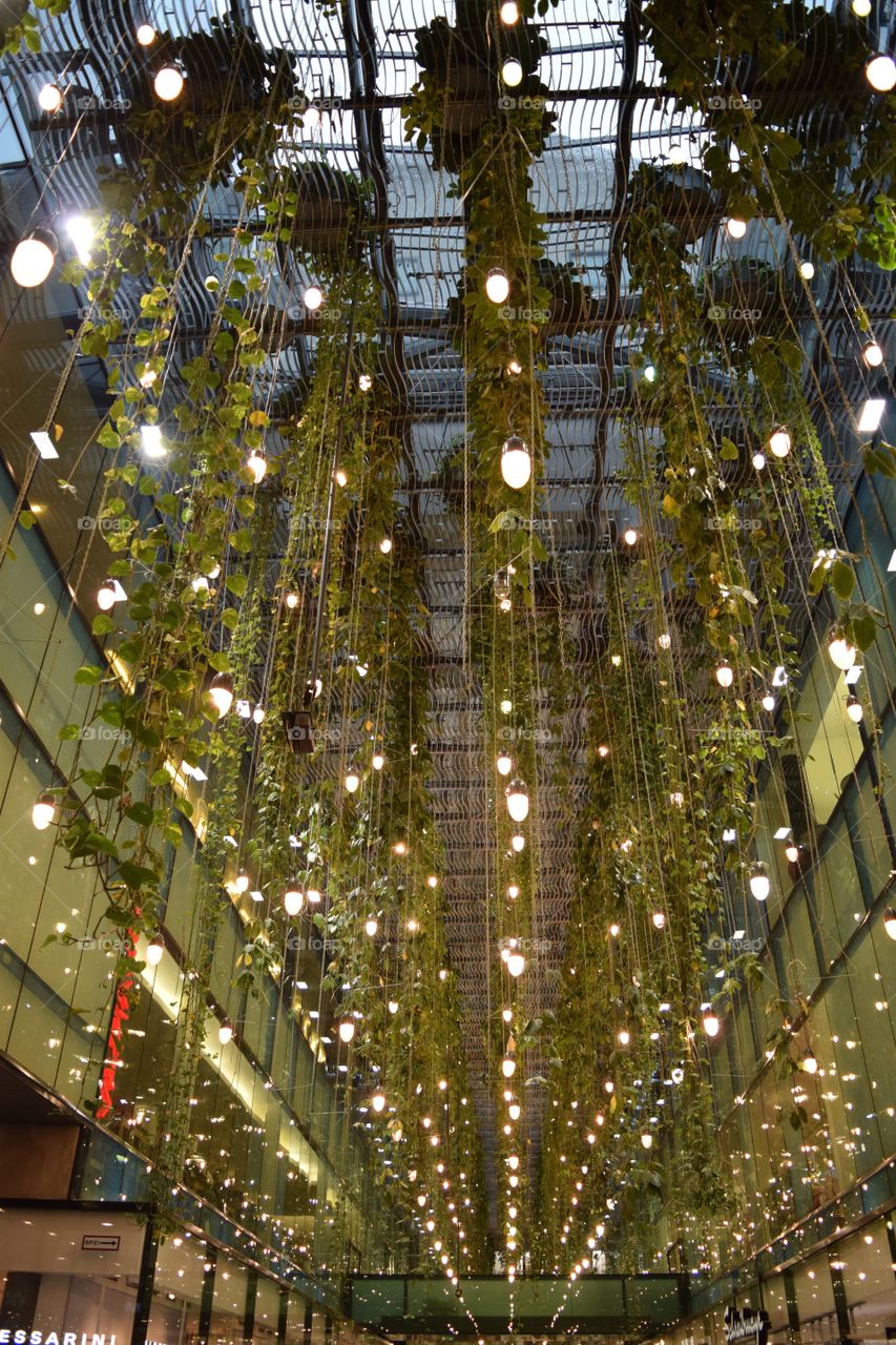 Vines and lights hang from the ceiling in a mall in Munich, Germany. October 2016.