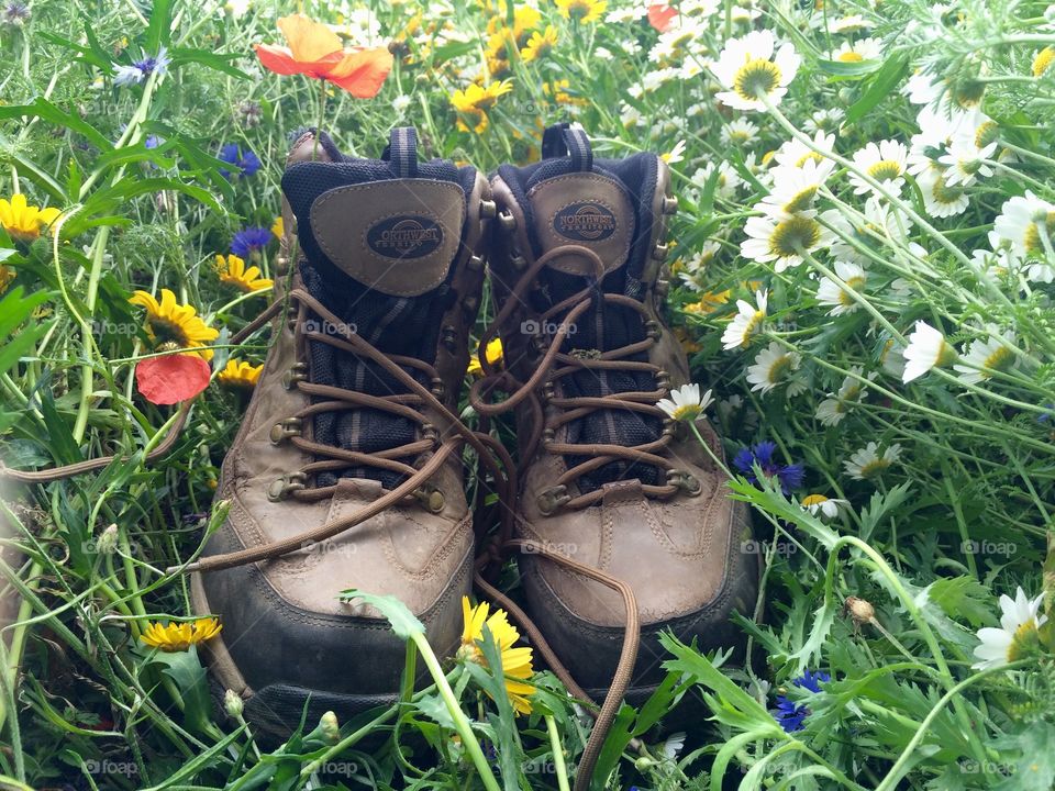 An abundance of wild flowers at the end of the hike. Time for a picnic ...