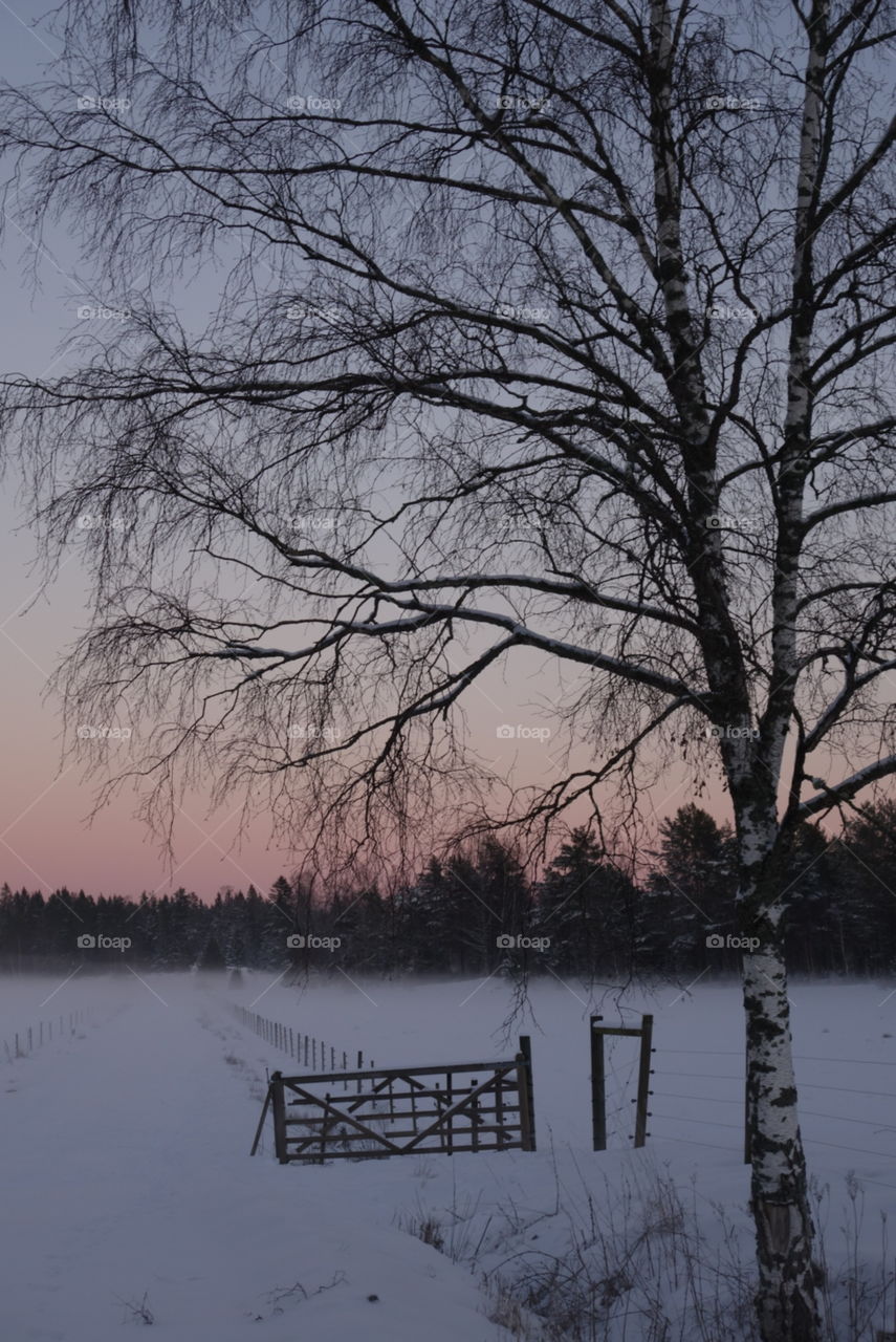 winter Uppland