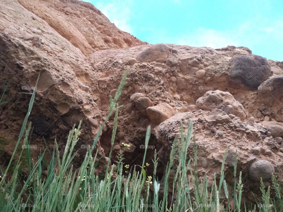 thy Sky flower clouds a rock