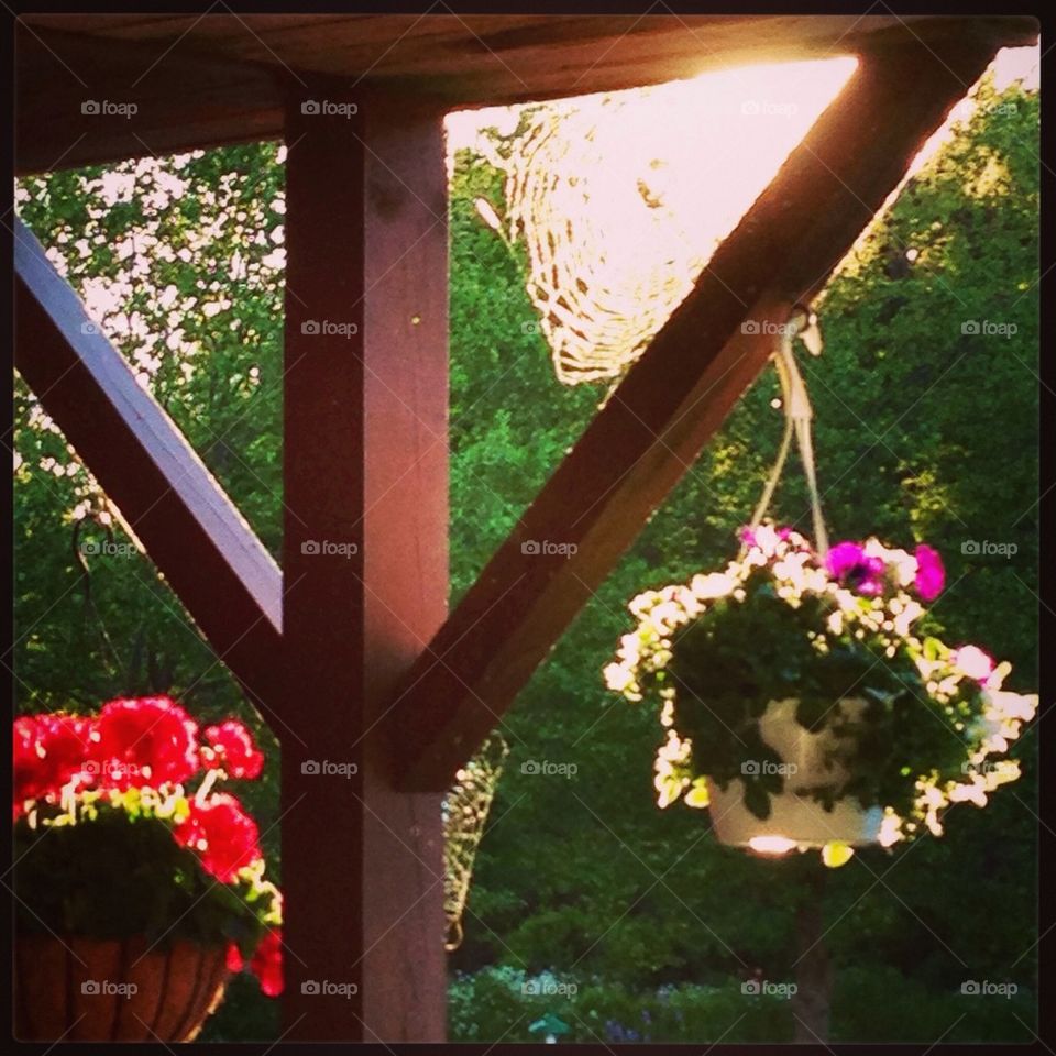 Glowing spiderweb art. 