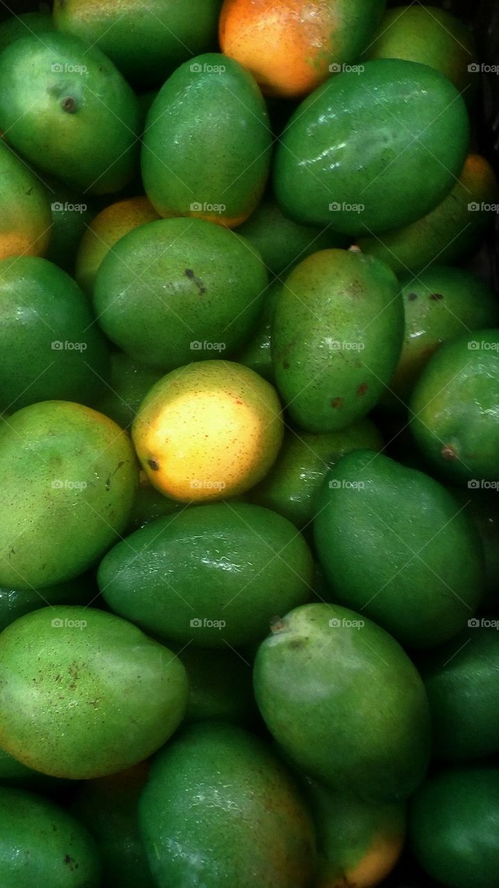 Abundence of fresh healthy green
mangoes