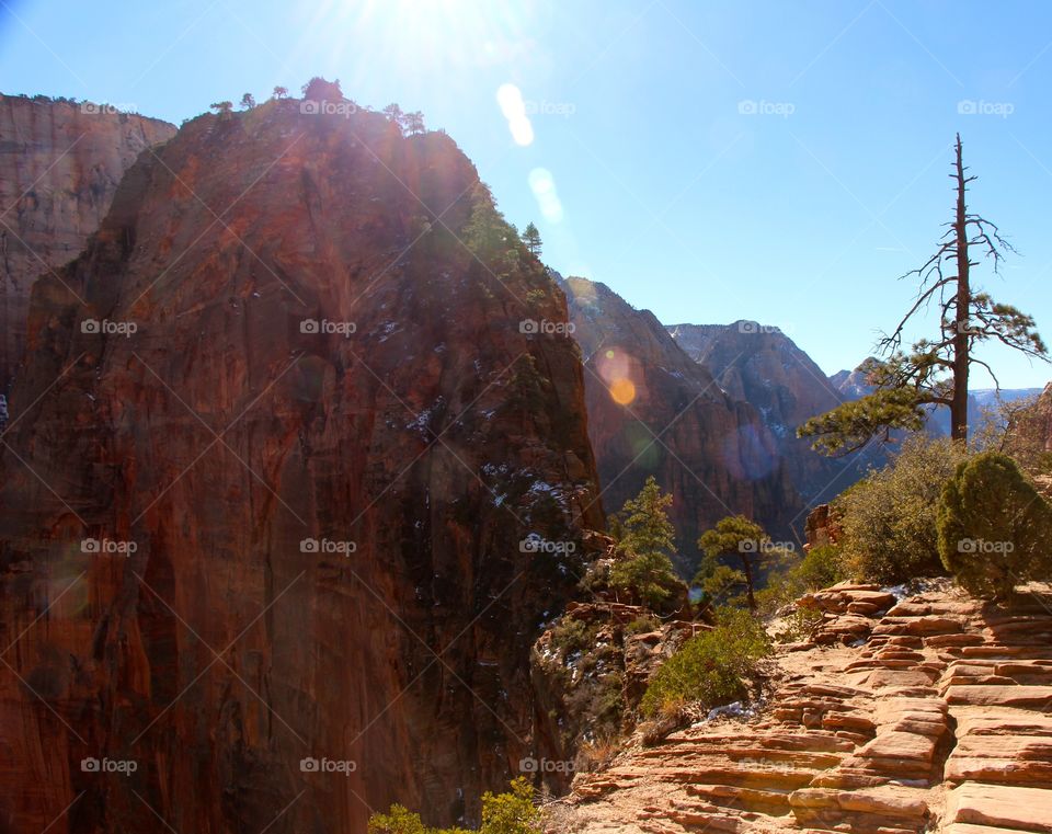 Angels landing 