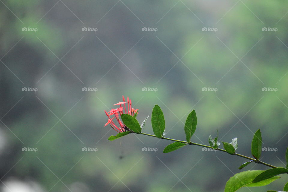 “A flower cannot blossom without sunshine"