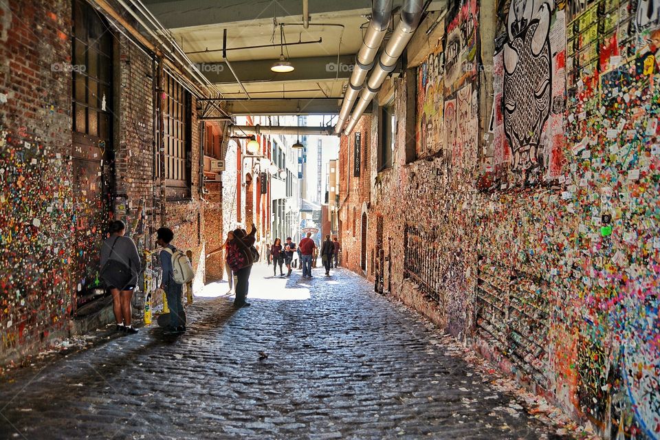 Gum Alley