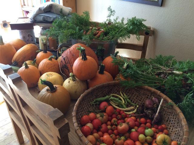 Our Fall harvest