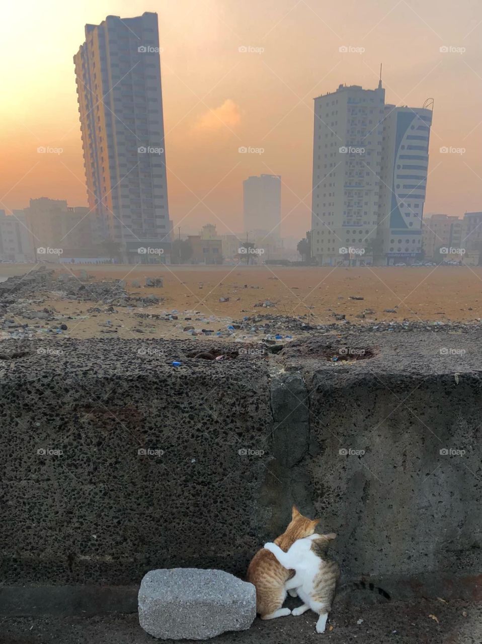 Love behind the wall 🙈