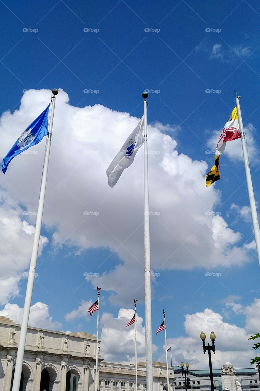 Favorite Flags