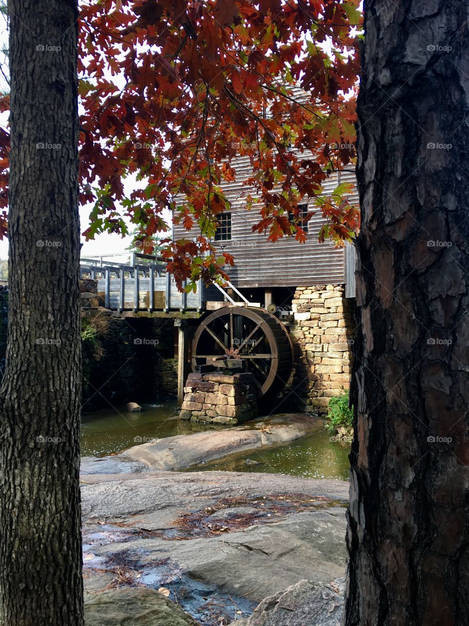 Historic Yates Mill Park in the fall