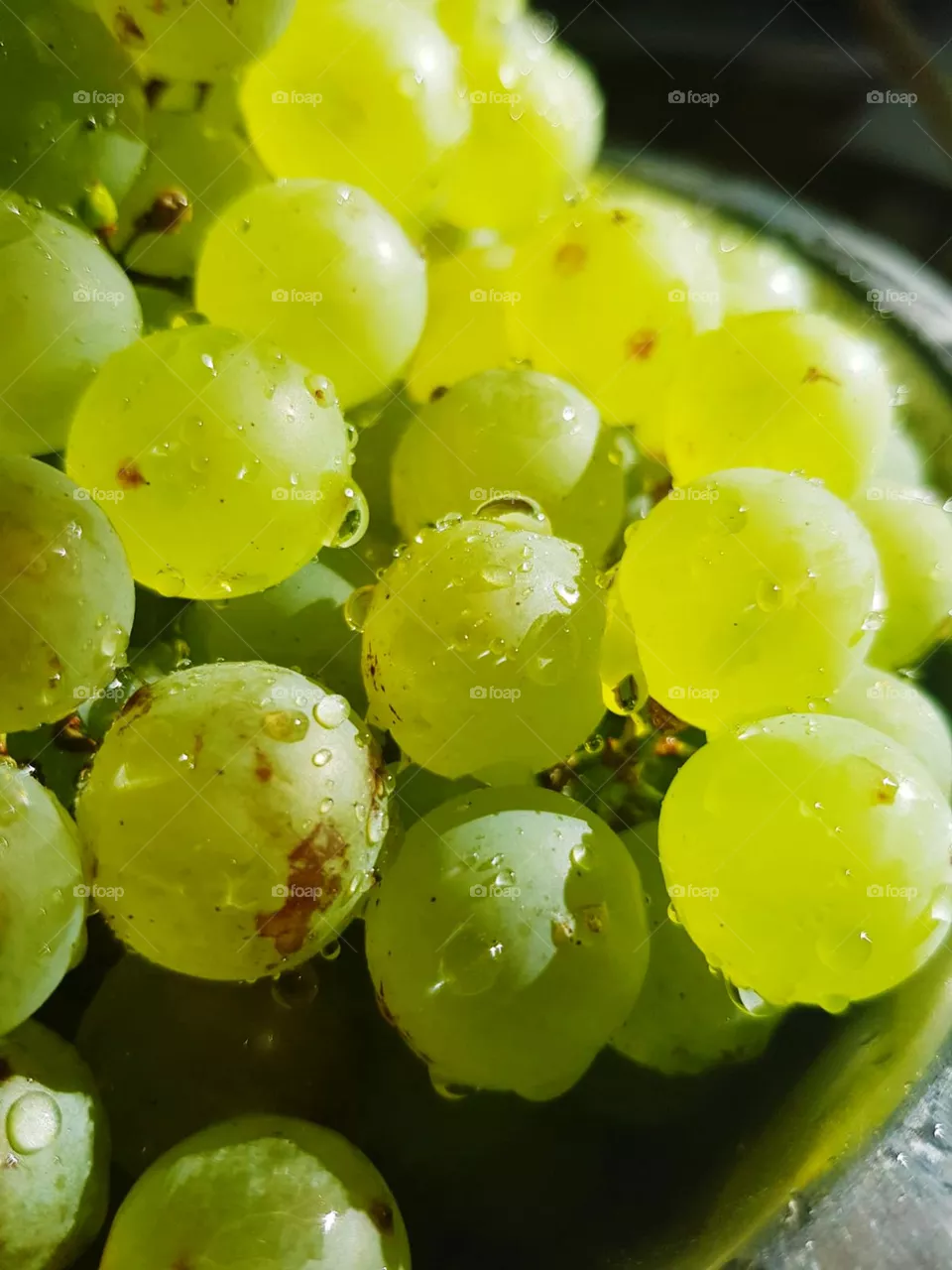 close-up grapes