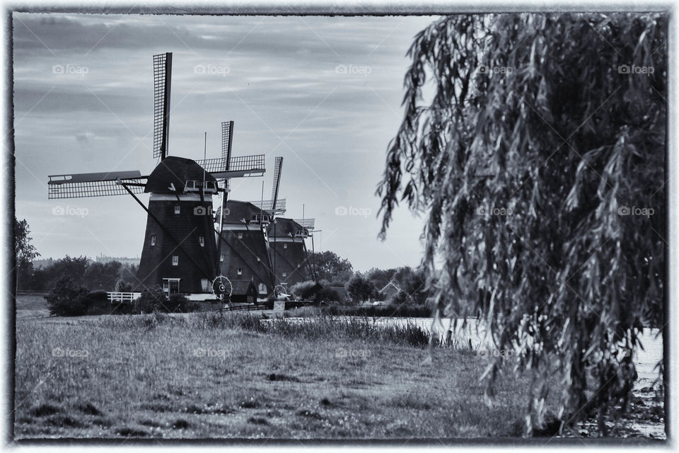 windmills. hot summer evenings somewhere in rural areas of Holland 