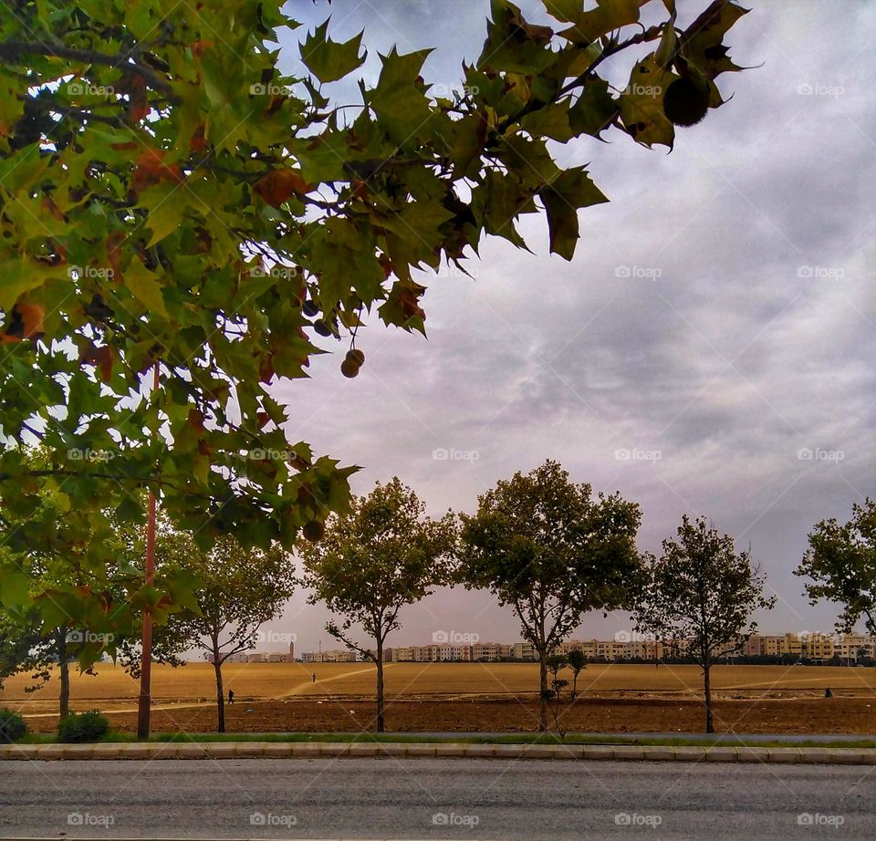 View of the outskirts of the city