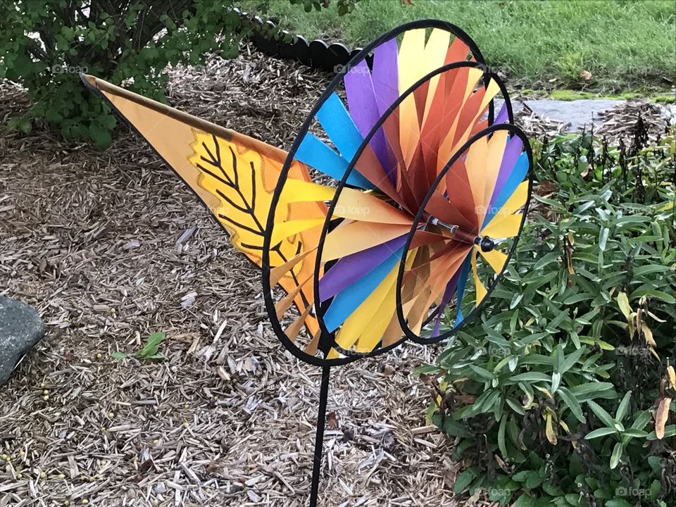 Fall autumn wind spinner decoration outdoors in the landscaping