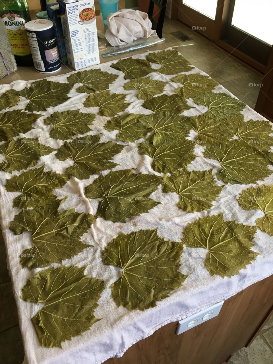 Prepping the grape leaves for dolmades 