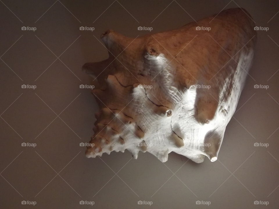 from the depths of fhe ocean