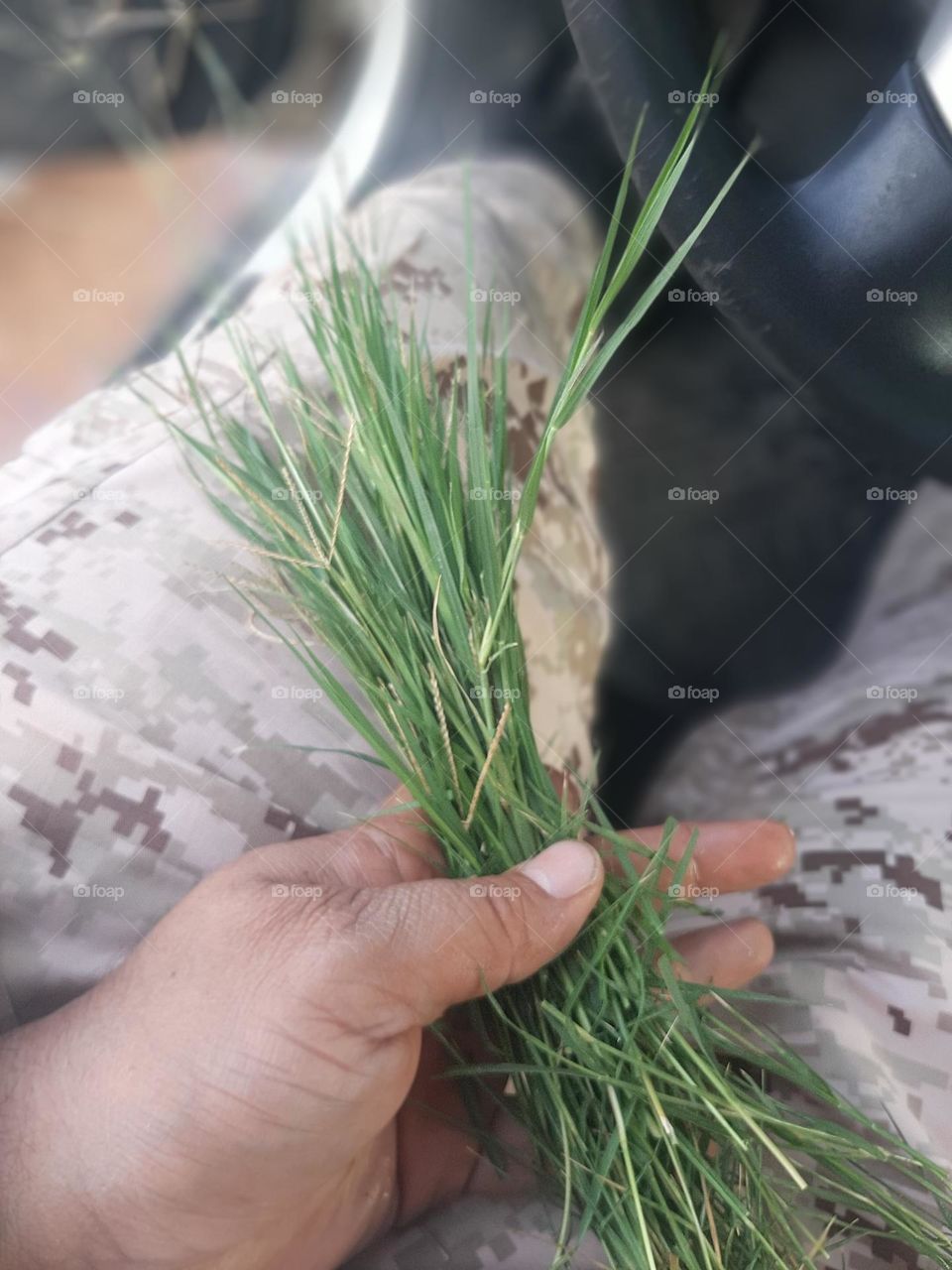 Please help me, I am very poor, I need your support and God is in need