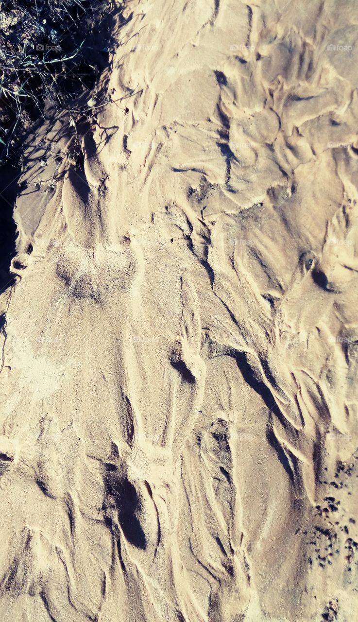 ~Patterns In The Sand~