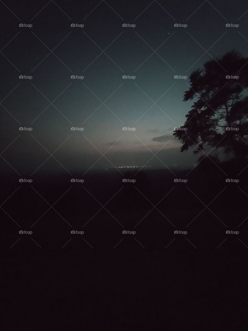 netural light effect