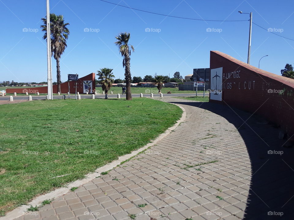 A beautiful display of a garden outside the residential area.