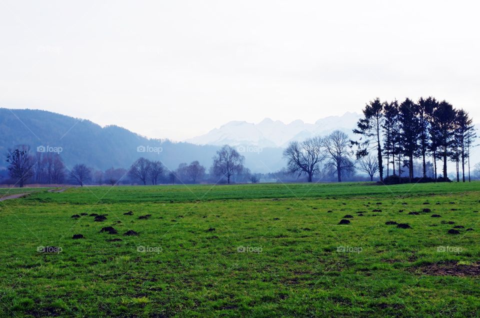 Scenic view of field against clear sky