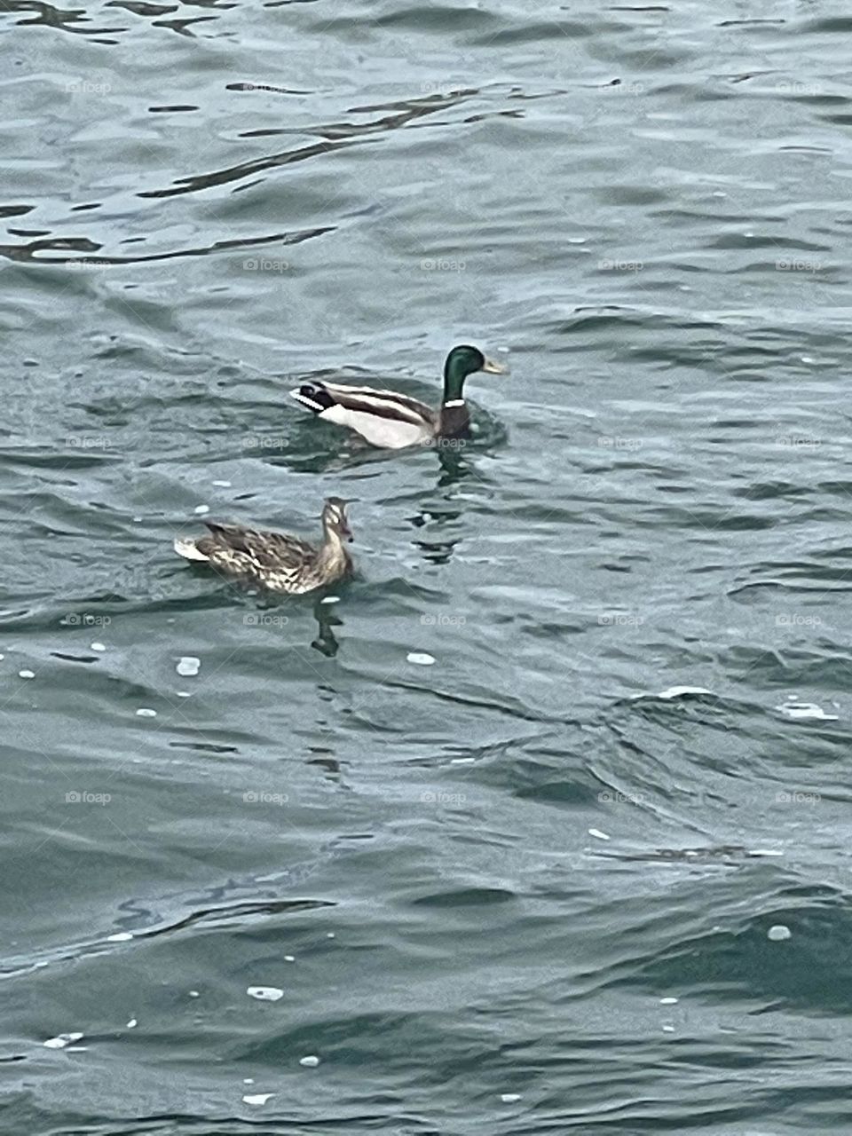 Love example!!!always together!!!