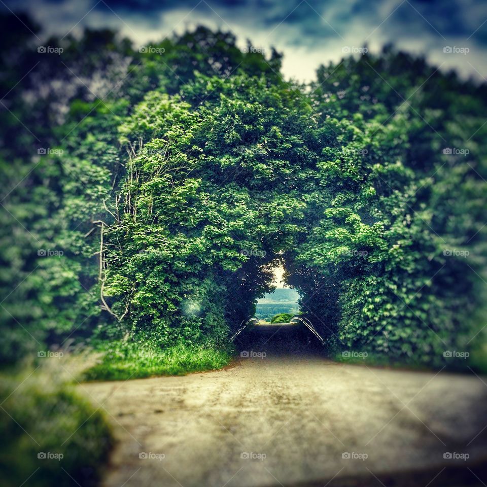 Tunnel nature 
