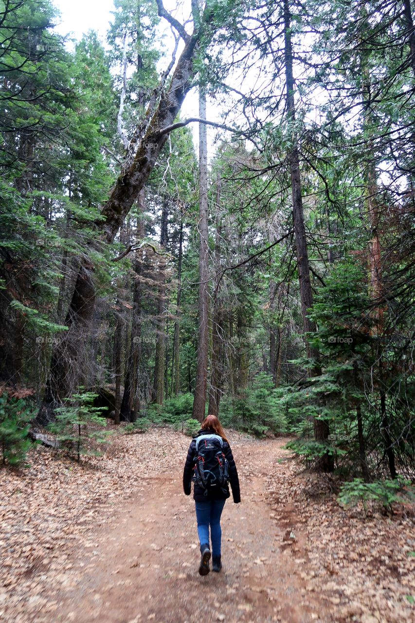 A walk with giants