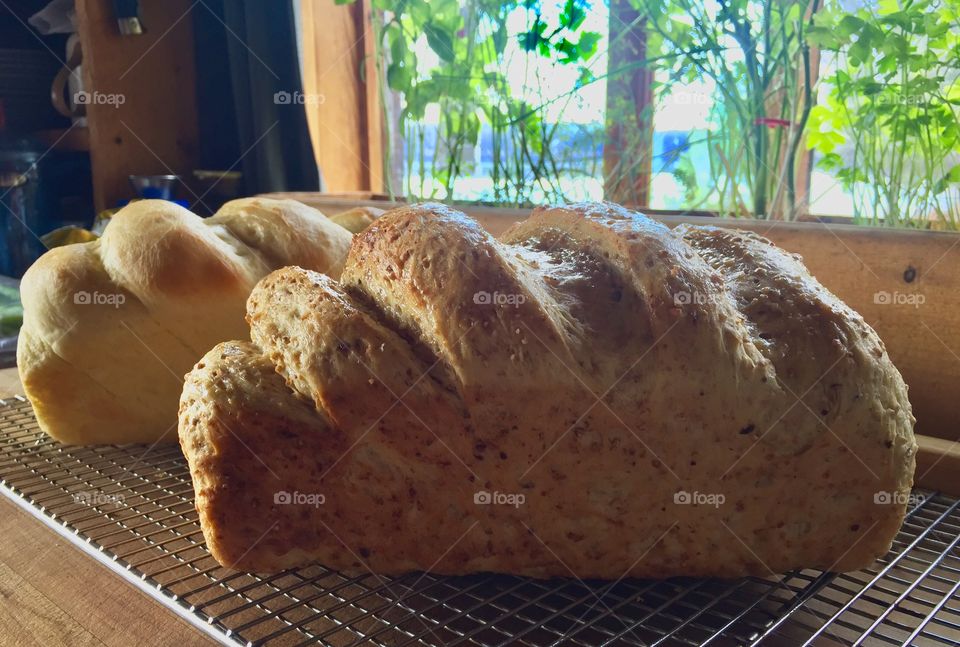 Homemade bread from the wilderness off grid kitchen. All from scratch. Who’s coming for breakfast?