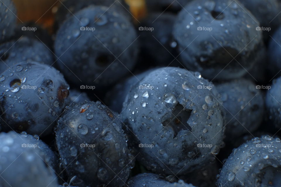 Wet blueberry