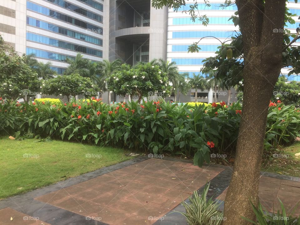 Office Garden with flowers