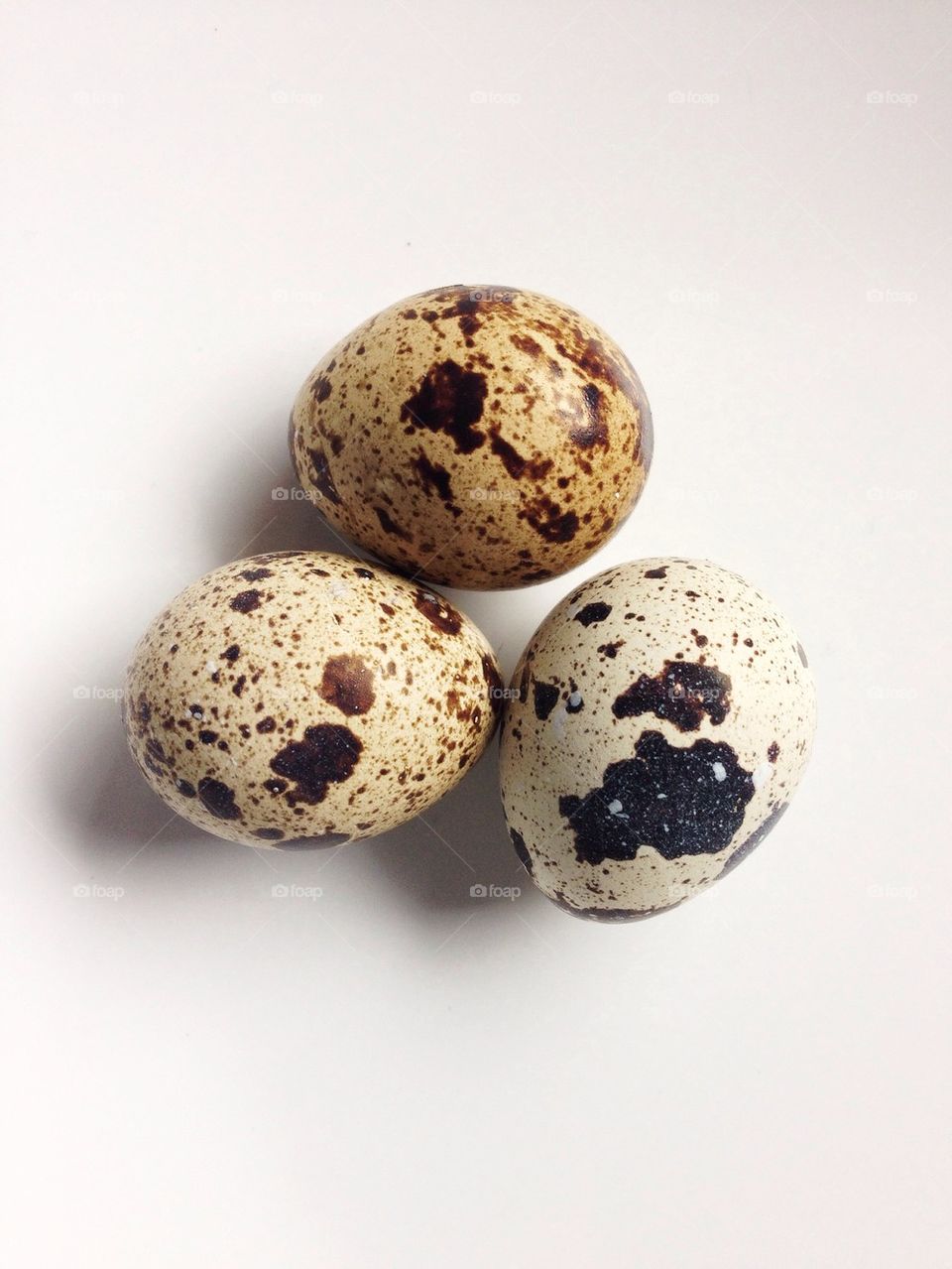 Quail eggs