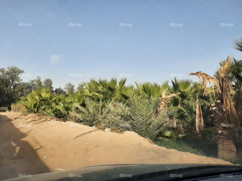 Please make me happy, I am poor, I need your help with support