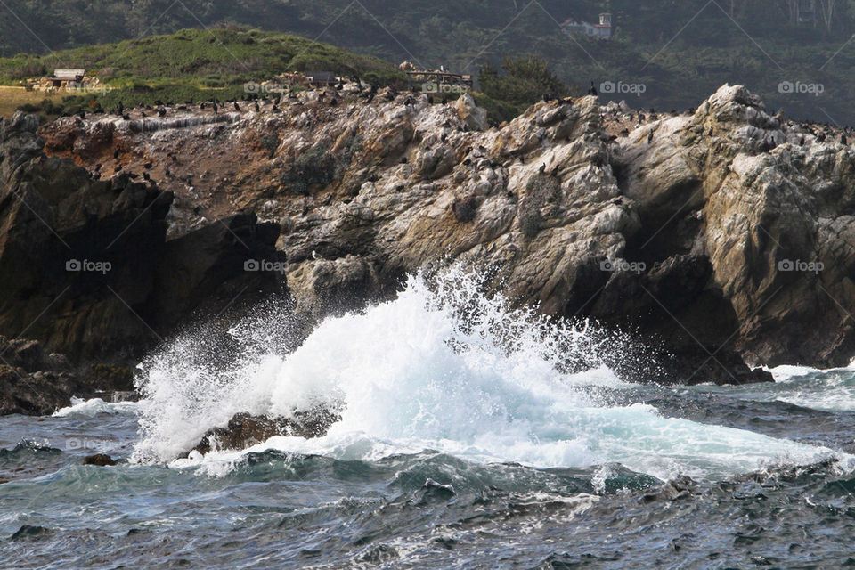 point lobos wave and rocks