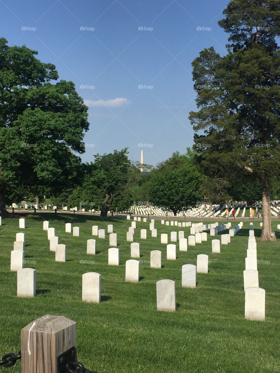 Arlington cemetery Washington DC 