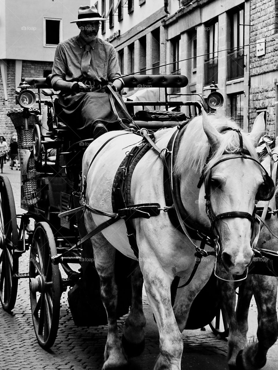 a coachman driving a carriage